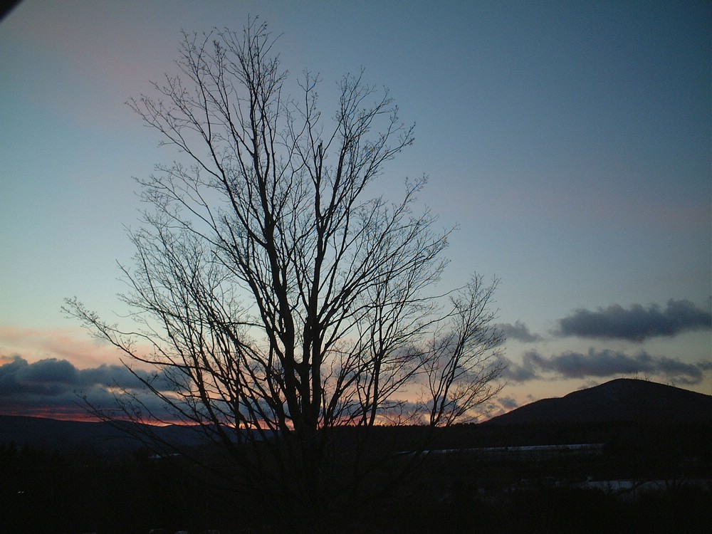 Outside